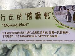 -珠海长隆海洋王国