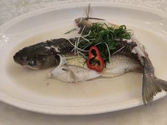 -御满江海鲜酒家(洛溪新城店)