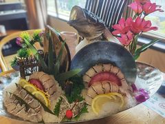 小龙趸-尚海豆捞(乐虹坊店)