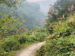 -华蓥山天意谷景区