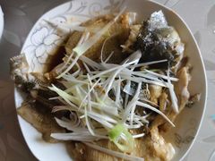 -小蝌蚪·寻·月嫂(普陀总部)