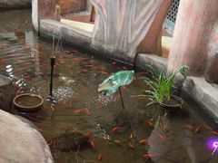 -和源祥·日照菜扛把子(万平口一店)