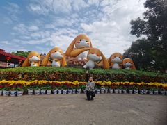 -深圳野生动物园
