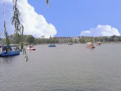 -上海长兴岛郊野公园