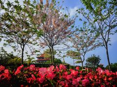 -广州莲花山旅游区