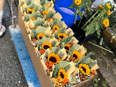 -循礼门鲜花花市(武汉循礼门店)