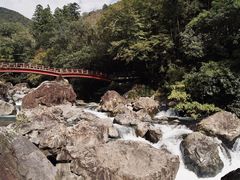 -大围山国家森林公园