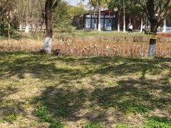 -新洲生态园