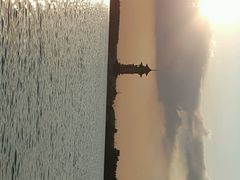 android_upload_pic-溱湖国家湿地公园