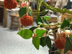 -旺蜀主成都串串火锅(西直门凯德MALL店)