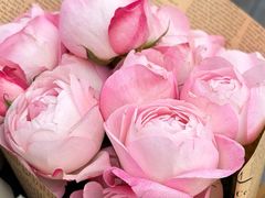 -淮扬府·游园京梦(西安SKP店)