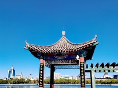 -莲花池公园
