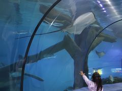 -福州罗源湾海洋世界旅游区