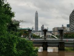 -福田红树林生态公园