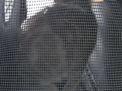 -贝康宠物医院·犬猫全科·小动物特色诊疗中心(东环路店)