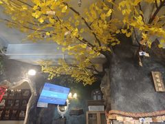 -猫猫幼稚园·撸猫·桌游·电玩