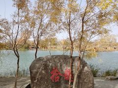 -金塔沙漠胡杨林景区