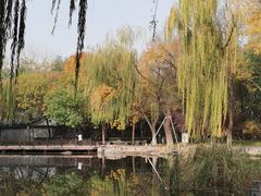 -玲珑塔公园
