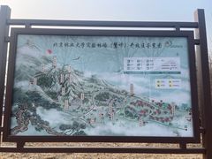-北京鹫峰国家森林公园
