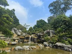 -东莞植物园