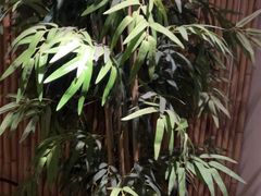 -锦初•影院式足道•新中式SPA(茂业天地店)