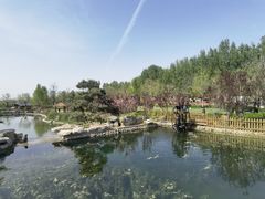 -静之湖度假区