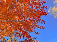-颐和园