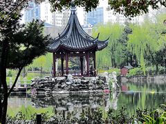 -和平公园