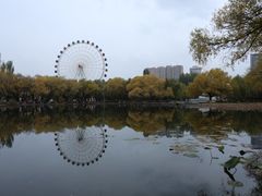 -青城公园