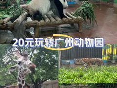 -广州动物园