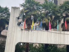 -陕西师范大学(雁塔校区)