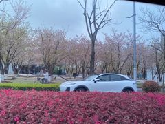 -要得自助火锅(新川路店)