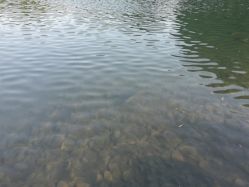 -珍珠泉水上世界