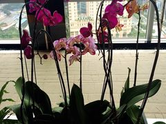 -广州富力君悦大酒店·关系酒廊