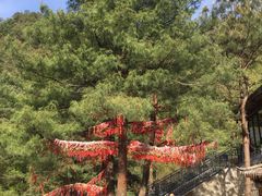 -苍山感通索道