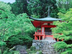 -醍醐寺