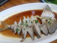 -得心斋(国瑞升平里店)