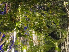 -郑州方特梦幻王国