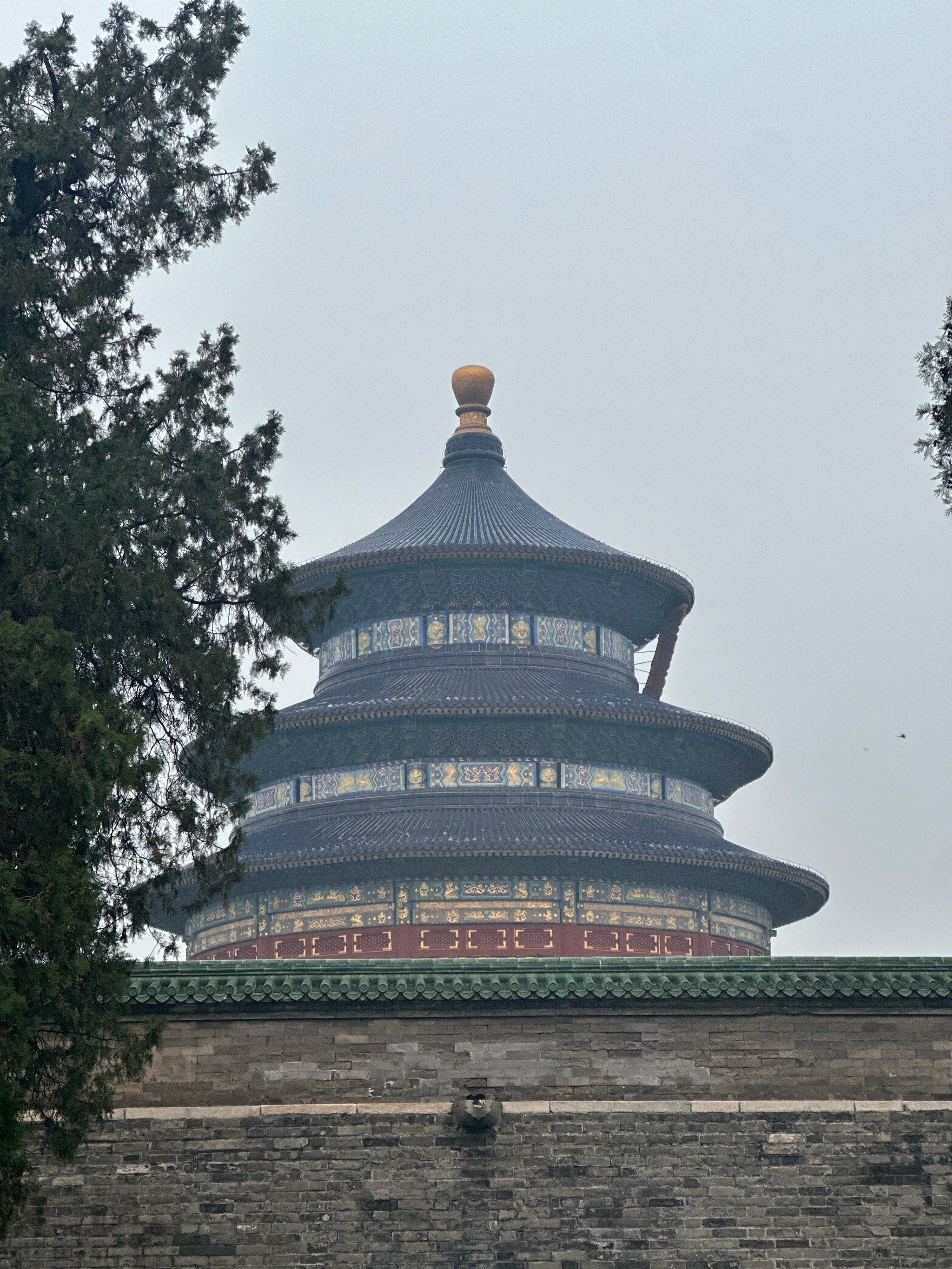 好久没来地坛了,好美啊,一进来氧气十足.有百年的古树