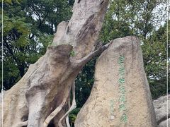 -宝岩生态观光园