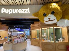 -帕帕拉兹宠物(亚洲旗舰店)