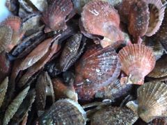 -宾朋海鲜特色美食餐厅·纯手工鲅鱼水饺(兴海路店)