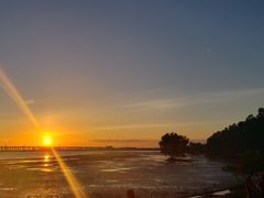 -宝安西湾红树林湿地公园