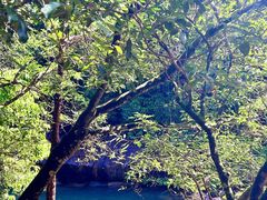 -广州白江湖森林公园