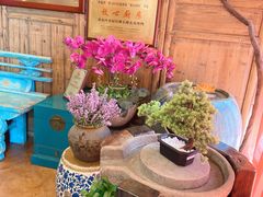 -四季厨房 鲁菜·孔府烤鸭(二环南路店)