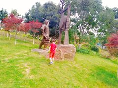 -铁山坪森林公园