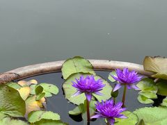 -石峰岩寺