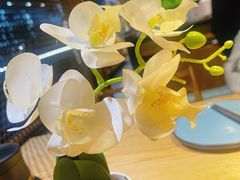 -九锅一堂酸菜鱼(学府凯德店)