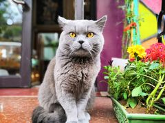 -Rabbit Cafe私房西餐甜点咖啡(栖霞路店)