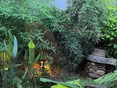 -大自然(鲁家村店)